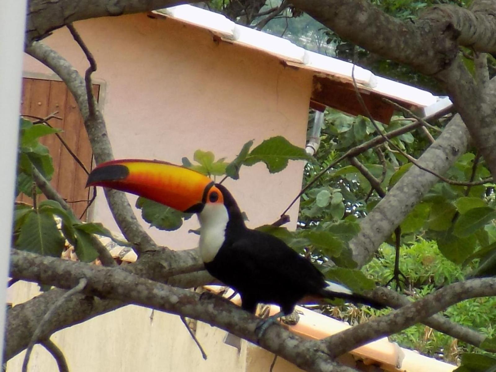 Pousada Fenix Pirenópolis Екстериор снимка
